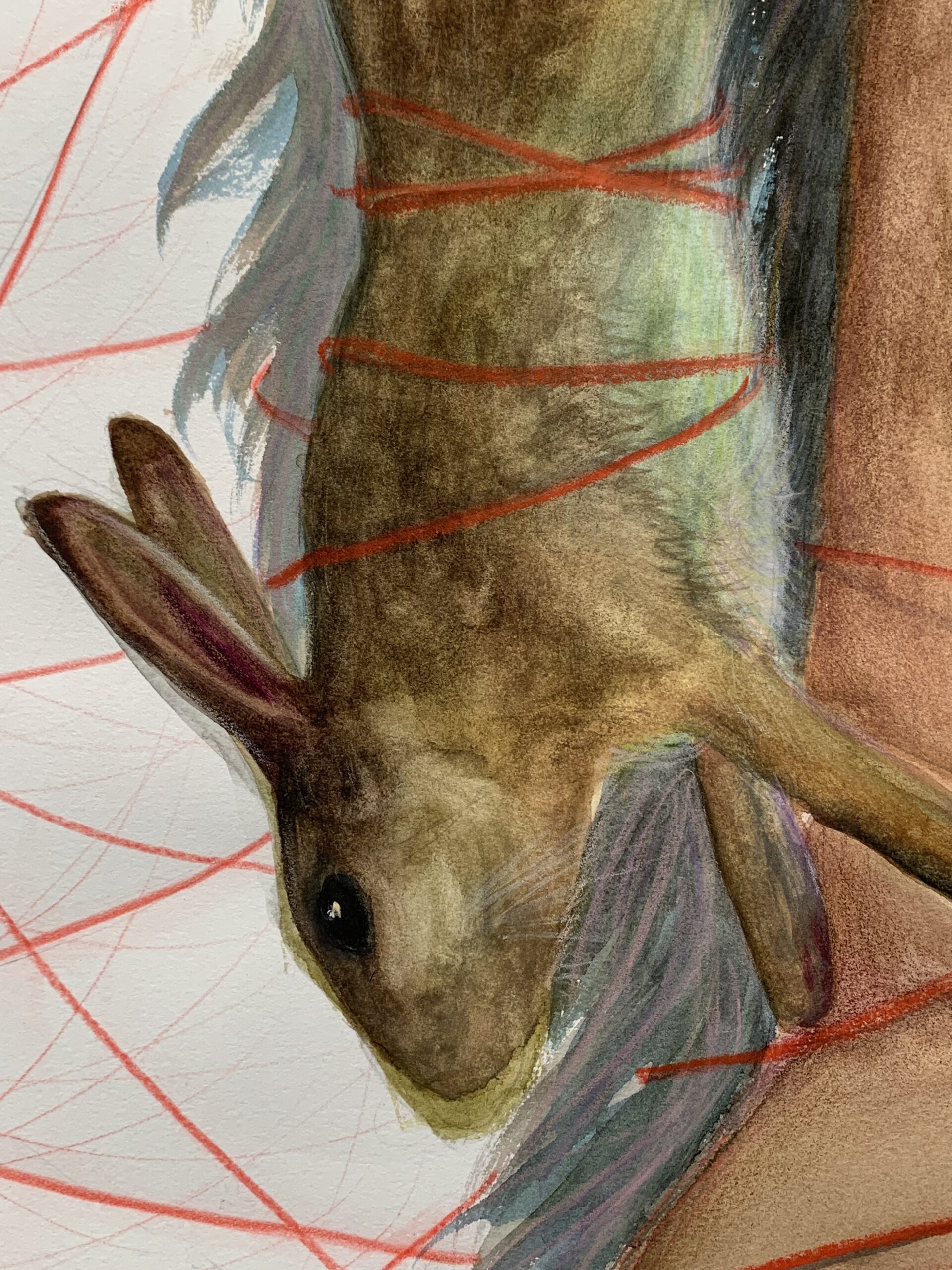 An_Emotional_Managerie1